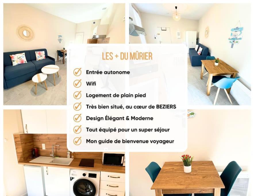Studio Bien Equipe A 2 Pas De La Gare Béziers Exterior foto